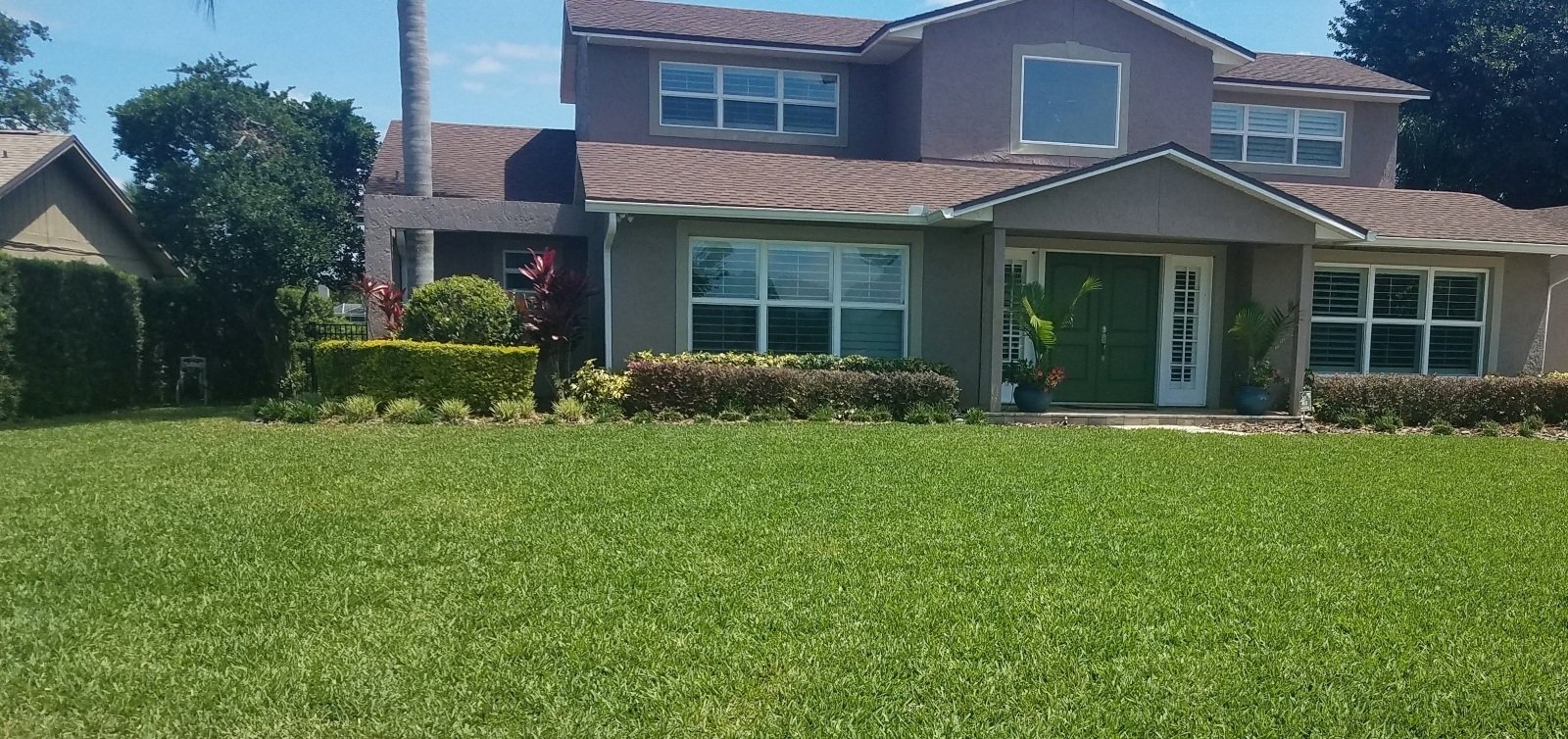 ProVista St. Augustine The New Sod Orlando, FL Homeowners Can’t Wait
